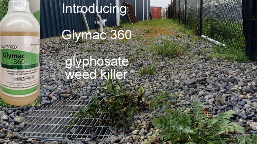 Introducing Glymac 360