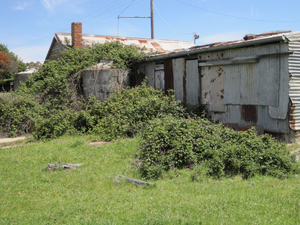 Weed Control Tips for the Hobby Farmer