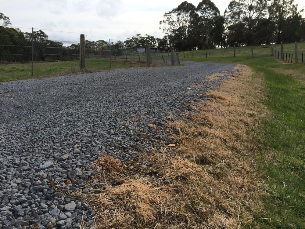 Blow weeds away this spring!